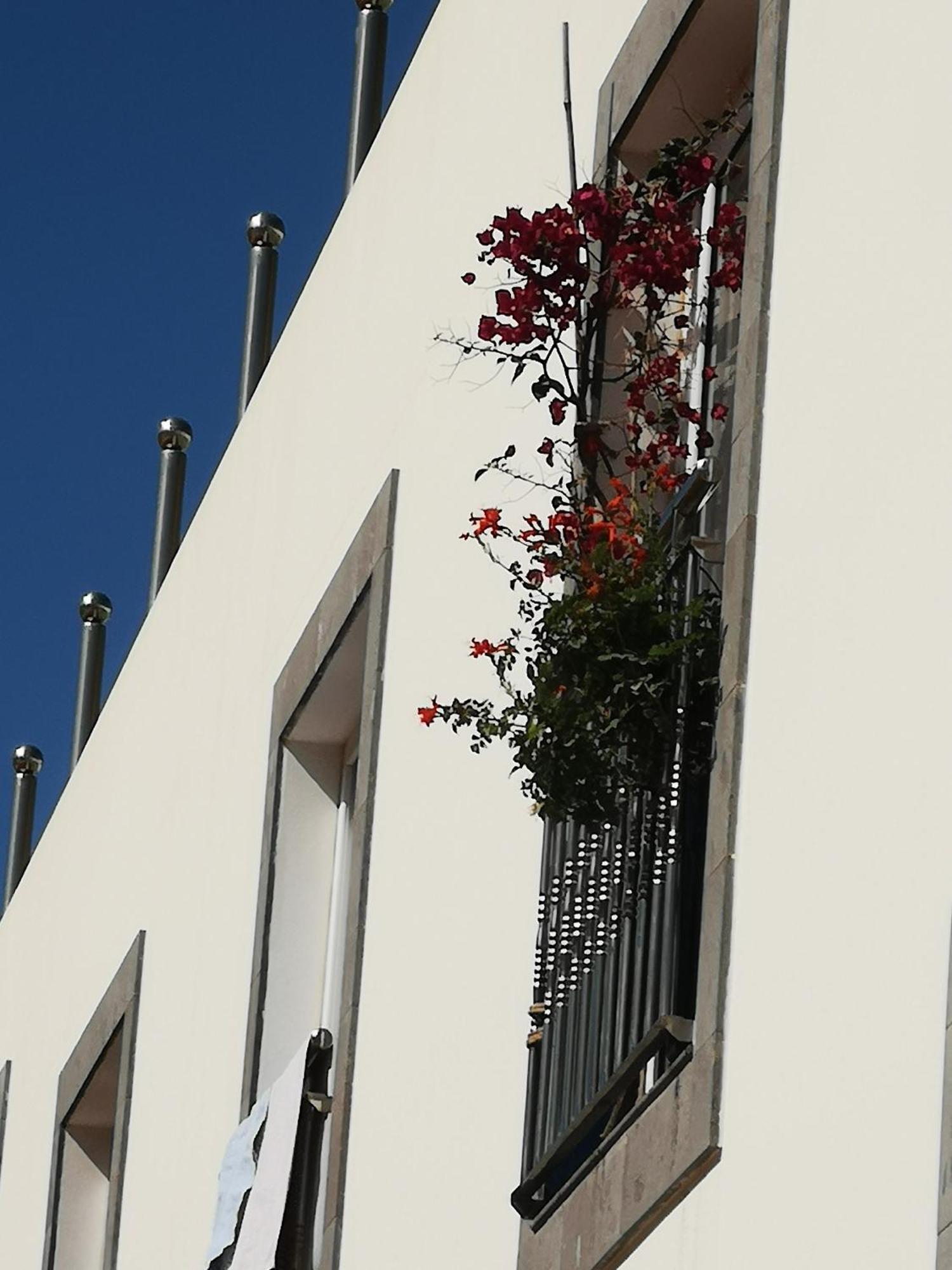 Puerto De Mogan Sonneland Apartment Екстериор снимка